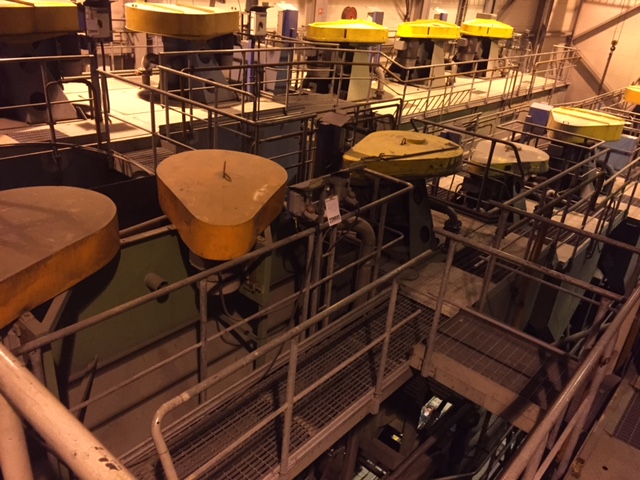 4000 Tpd Gold Plant)